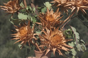 stimmungsbilder aus kreta 5 20140623 1303827728